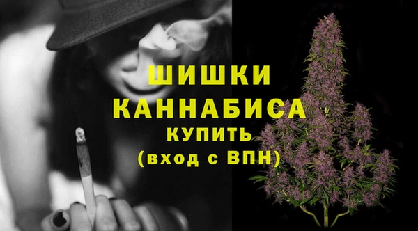 шишки Кодинск