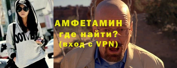 шишки Кодинск