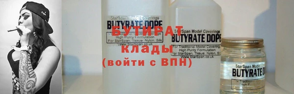 шишки Кодинск
