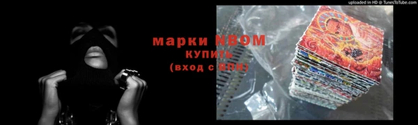 шишки Кодинск
