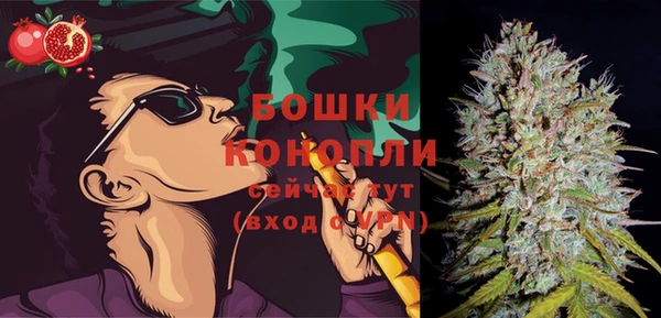 шишки Кодинск