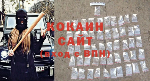 шишки Кодинск