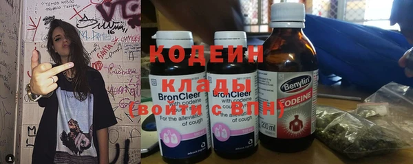 шишки Кодинск