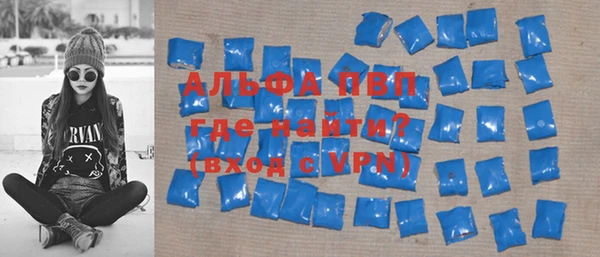 шишки Кодинск