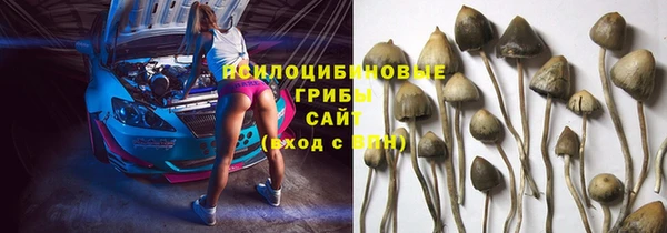 синтетический гашиш Козельск