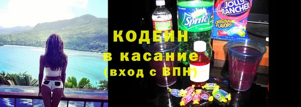 шишки Кодинск