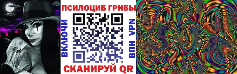 Псилоцибиновые грибы мицелий  Купить закладки  Гурьевск 